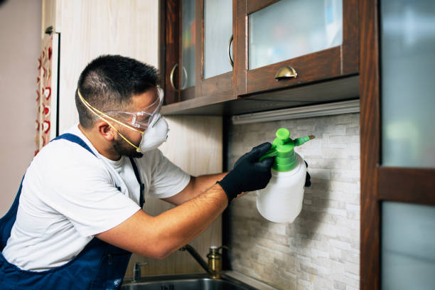 Trusted Travelers Rest, SC Pest Control Experts