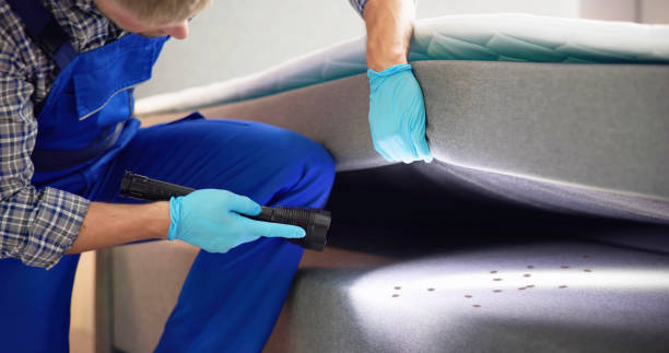 Best Pest Control for Homes  in Travelers Rest, SC